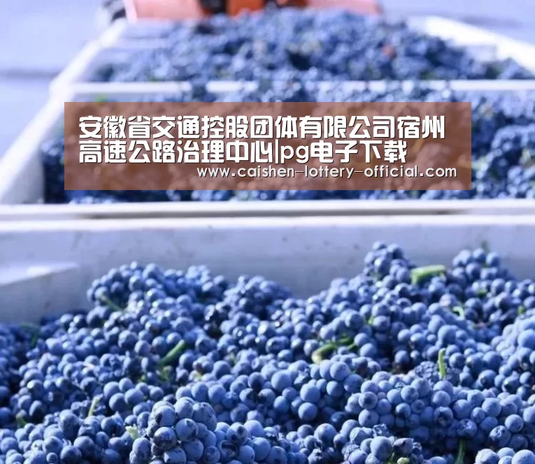 安徽省交通控股团体有限公司宿州高速公路治理中心|pg电子下载(图3) pg电子游戏平台