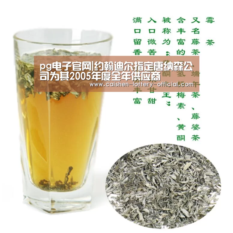 pg电子下载