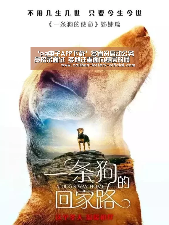 ‘pg电子APP下载’多省份启动公务员招录面试 多地注重面向基层的倾斜力度(图2) pg电子APP下载