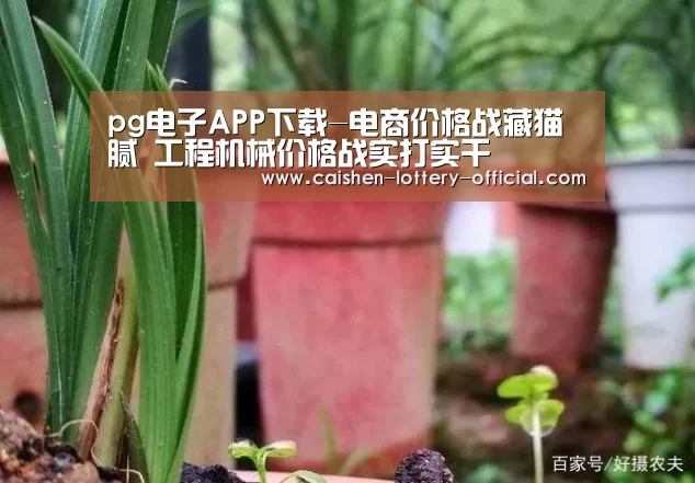pg电子官网