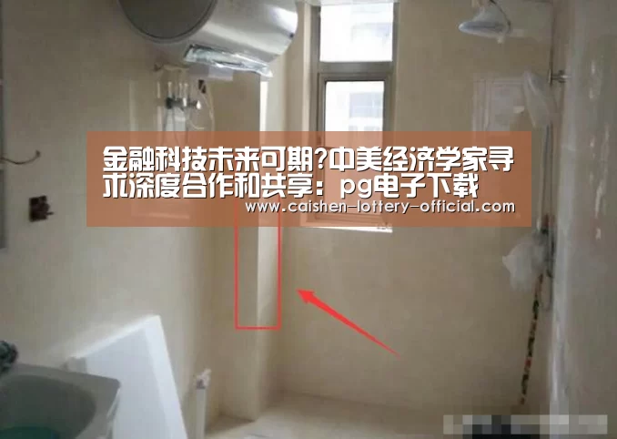 金融科技未来可期?中美经济学家寻求深度合作和共享:pg电子下载(图3) pg电子官网