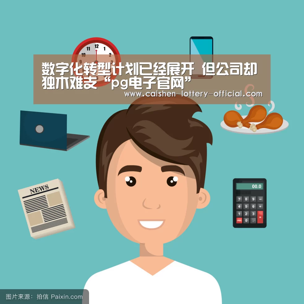 数字化转型计划已经展开 但公司却独木难支“pg电子官网”(图2) pg电子官网