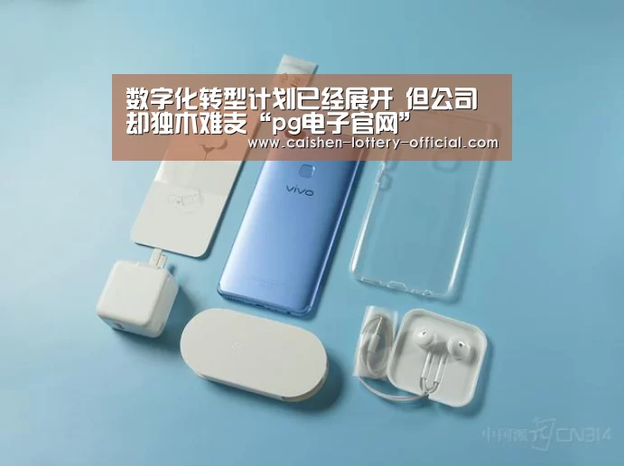 数字化转型计划已经展开 但公司却独木难支“pg电子官网”(图1) pg电子官网