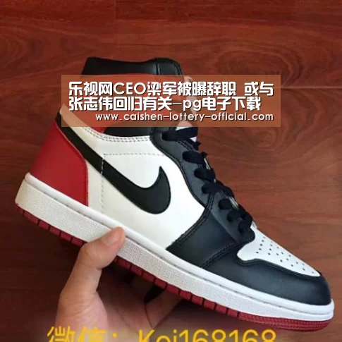 乐视网CEO梁军被曝辞职 或与张志伟回归有关-pg电子下载(图1) pg电子官网