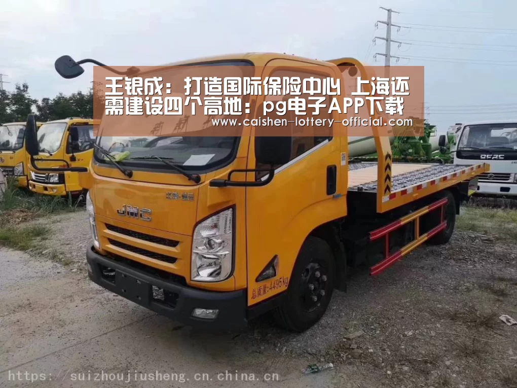 王银成:打造国际保险中心 上海还需建设四个高地:pg电子APP下载(图4) pg电子下载