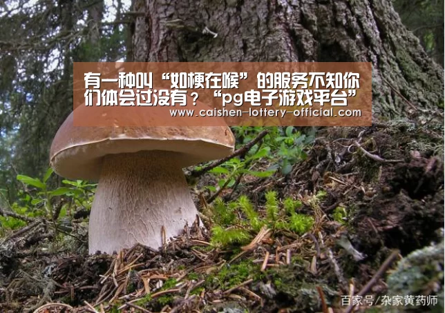 pg电子游戏平台