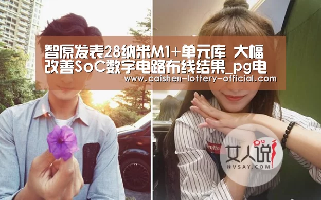 智原发表28纳米M1+单元库 大幅改善SoC数字电路布线结果_pg电子下载(图1) pg电子游戏平台