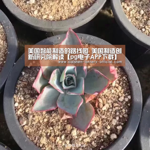 pg电子游戏平台