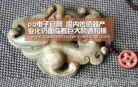 pg电子游戏平台